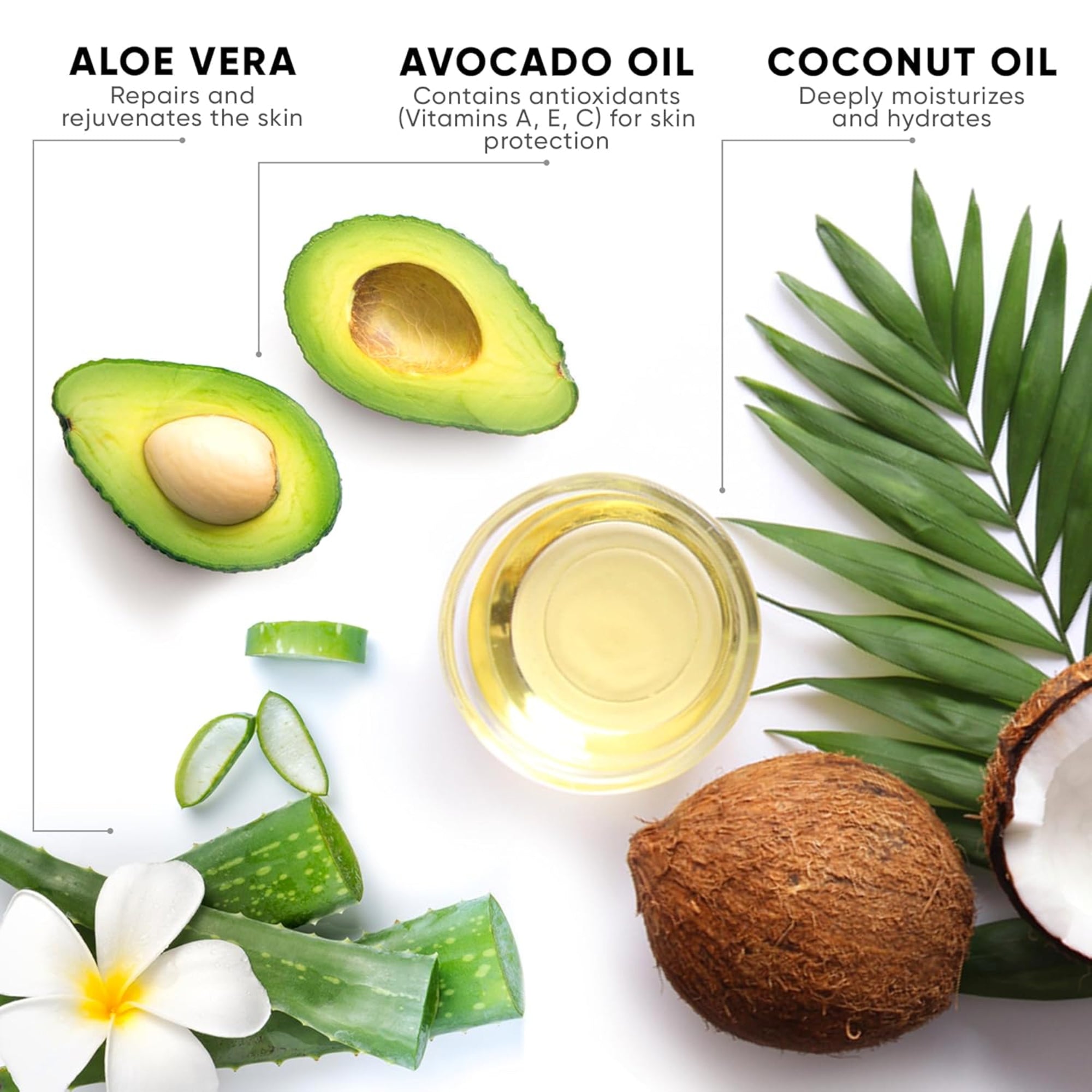 Illustration of aloe vera, avocado, coconut, and avocado oil with text on benefits.