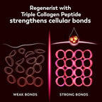 Olay Regenerist with tripple collagen Peptide strengthens cellular bonds.