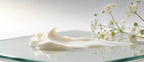 Cream on a glass surface with small white flowers