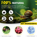 (3 Units) COSRX Advanced Snail 92 All In One Cream
